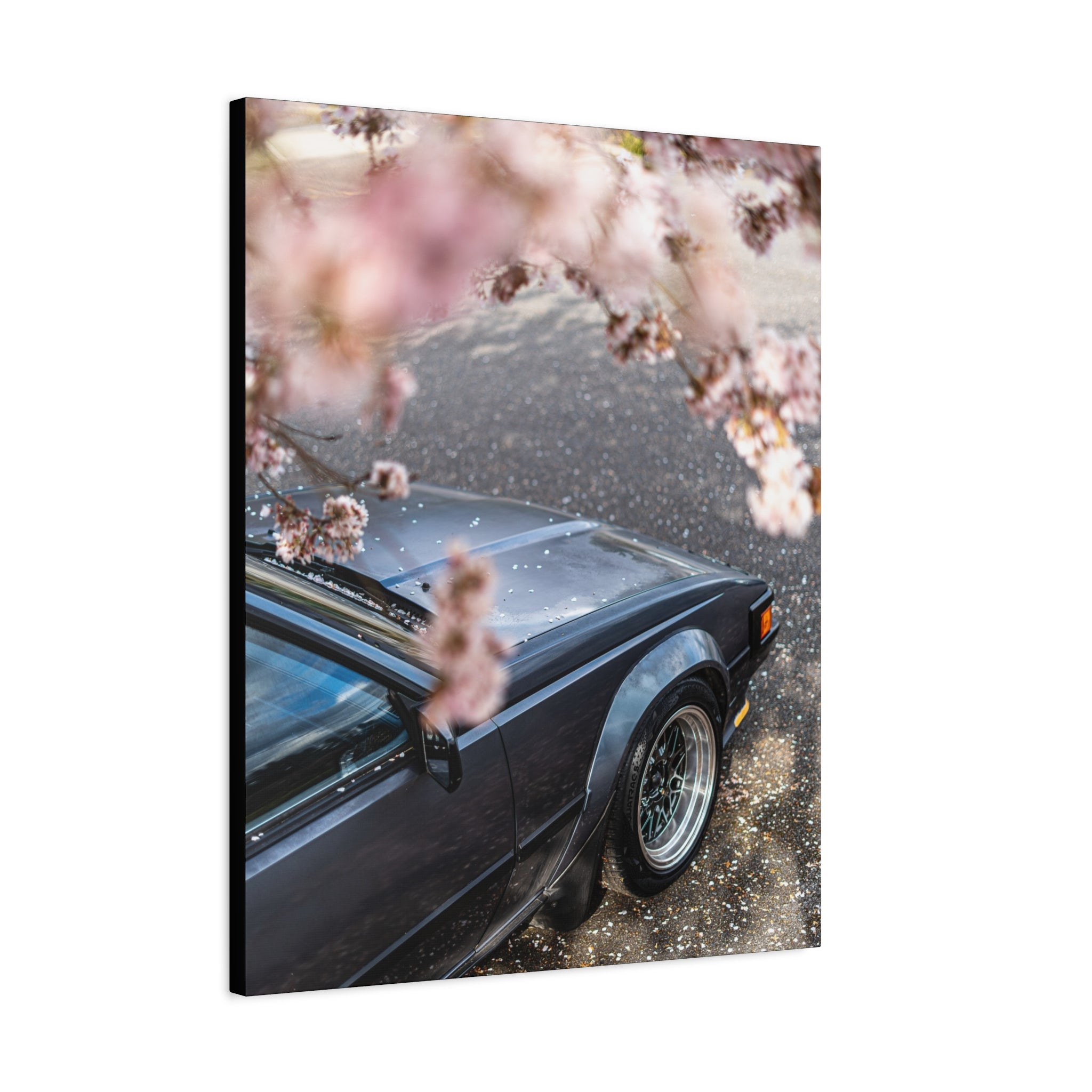 Vintage Sports Car Canvas Print — Cherry Blossom Automotive Wall Art (Matte Stretched)