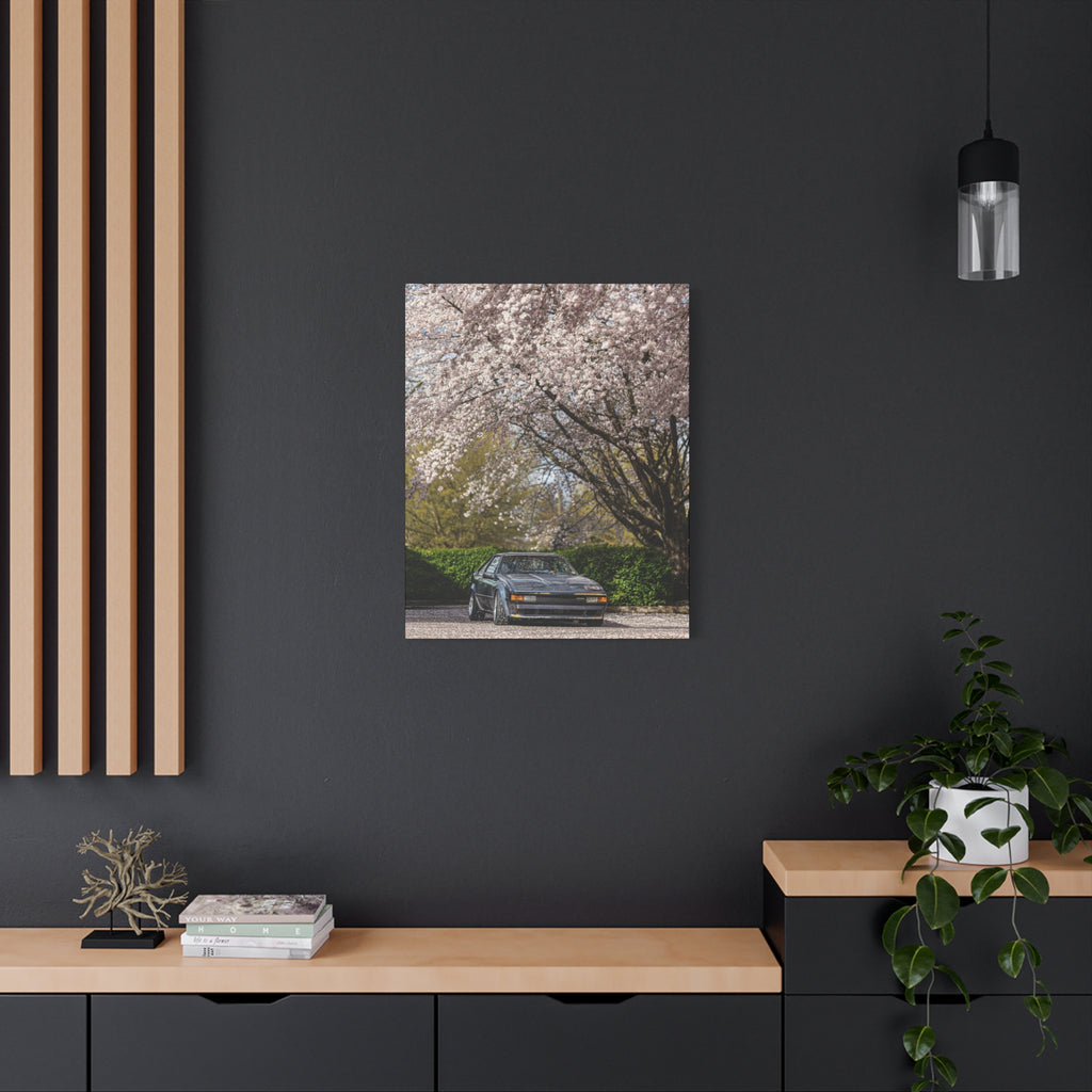 Vintage Sports Car Canvas Print - Cherry Blossom Scene, Matte Stretched 1.25"