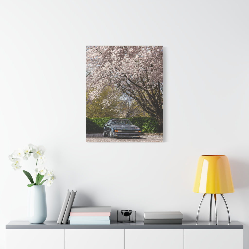 Vintage Sports Car Canvas Print - Cherry Blossom Scene, Matte Stretched 1.25"